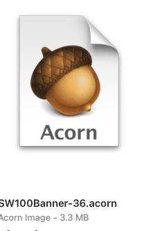 Acorn Icon